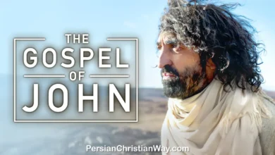 Poster of "The Gospel of John" featuring Jesus Christ in profile, perfect for those looking to download The Gospel of John movie.