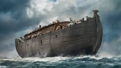 noah in bible