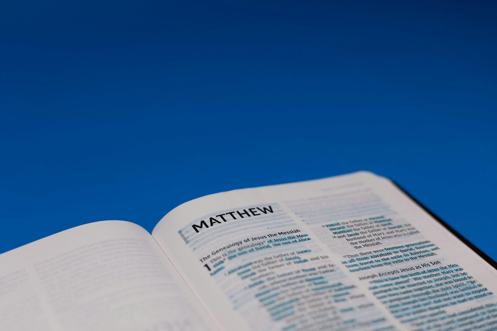 Matthew in the New Testament